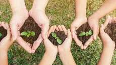 AdobeStock_229294213_KONZERN_ST-W(© © paulaphoto - stock.adobe.com)