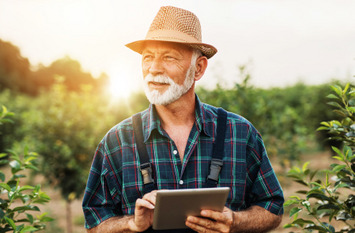 echzigjähriger bärtiger Agrarwissenschaftler, der Bäume in einer Obstplantage inspiziert und einen Tablet-Computer benutzt.