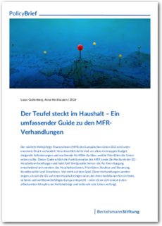 Cover Der Teufel steckt im Haushalt – Ein umfassender Guide zu den MFR-Verhandlungen