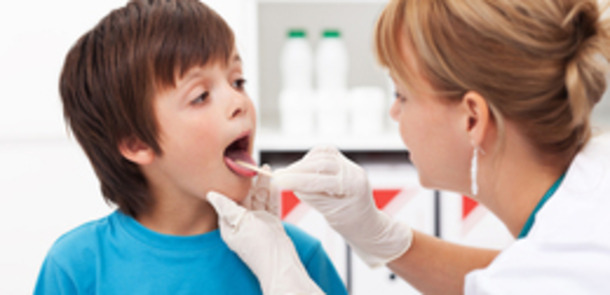 Foto: Ilike / Shutterstock Images