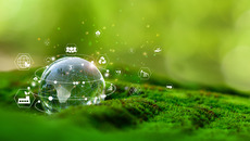 AdobeStock_638344889_KONZERN_ST-W(© © Kalawin - stock.adobe.com)
