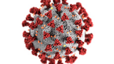 cdc-k0KRNtqcjfw-unsplash.jpg(© CDC / Unsplash – Unsplash License, https://unsplash.com/license)