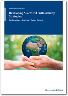 Cover Developing Successful Sustainability Strategies - Fundamentals – Analyses – Design Options