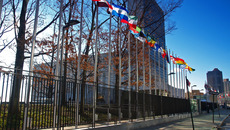 AdobeStock_2030386_KONZERN_ST-LK.jpeg(© © Gary - stock.adobe.com)