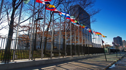 Zu sehen ist die Straße vor dem UN Gebäude. An der Straße stehen Fahnenstangen mit Fahnen der UN Staaten und ein paar Bäume