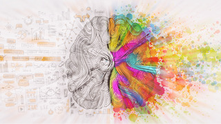 Left and right brain - logical and rational thinking vs. emotion and intuition