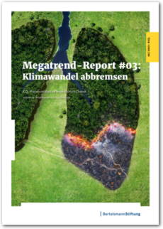 Cover Megatrend-Report #3: Klimawandel abbremsen