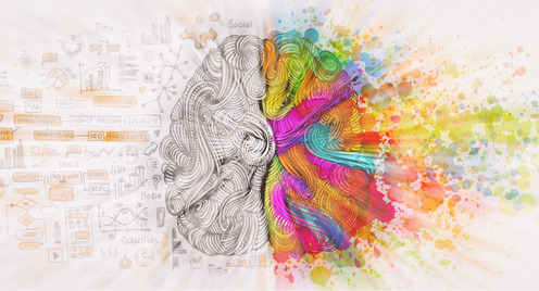 Linke und rechte Gehirnhälfte - Logisches und rationales Denken vs. Emotion und Intuition