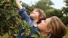 GettyImages-1272429366_ST-WB.jpg(© © Getty Images / Digital Vision / Catherine Delahaye)