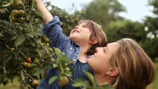 © Getty Images / Digital Vision / Catherine Delahaye