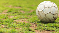 naypong - stock.adobe.com