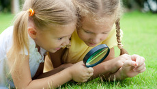 Fotolia_56460478_X_MPL.jpg_ST-LK(© altanaka / Fotolia.com)