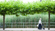 01_achenbach_demografie-0519.jpg(© Valeska Achenbach)