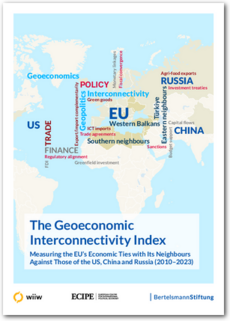 Cover The Geoeconomic Interconnectivity Index