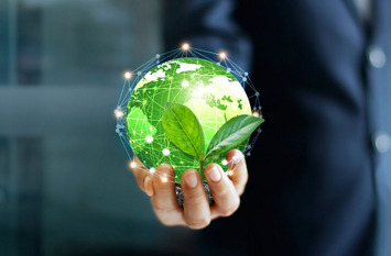Businessman hand with a plant and sprout in network connection