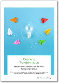 Cover Metastudie Doppelte Transformation
