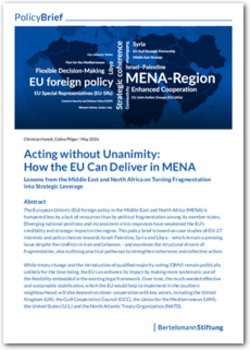 Cover Acting without Unanimity: How the EU can deliver in the Middle East and North Africa Region