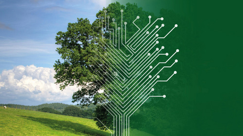 Baum auf grüner Wiese, halb Leiterplatte, halb natürlich