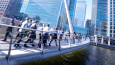 shutterstock_291897917_Premier.jpg_ST-K(© Shutterstock / alice-photo)