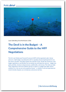 Cover The Devil is in the Budget – A Comprehensive Guide to the MFF Negotiations