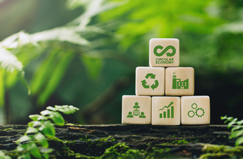 Das Bild zeigt Holzklötze mit Symbolen zur Kreislaufwirtschaft – darunter Recycling, nachhaltige Produktion, Wachstum, Zusammenarbeit und Effizienz. Die Würfel sind in einer natürlichen Umgebung platziert, umgeben von grünen Blättern und Moos