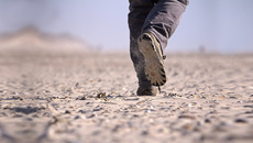 Pixabay_step-780896_Ret.jpg_ST-K(© schroederhund/pixabay.com, Hintergrund links angefügt - CC0, Public Domain, https://creativecommons.org/publicdomain/zero/1.0/deed.de)