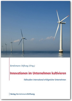 Cover Innovationen im Unternehmen kultivieren