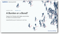 Cover eupinions slides: A Burden or a Bond?