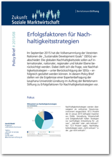 Cover Policy Brief #2015/08:<br/>Erfolgsfaktoren für Nachhaltigkeitsstrategien