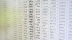 BRI 2007_R8P3856(© © Thomas Kunsch)