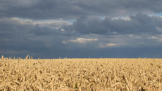 AdobeStock_488187228_KONZERN_ST-W.jpeg(© © Astibuk - stock.adobe.com)