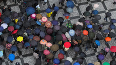 iStock-144339310_MPL.jpg_ST-NW(© Getty Images/iStockphoto/Eugeny Shevchenko)