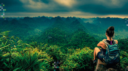 Urwald wo eine Frau auf einem Stein sitzt und in den Urwald schaut