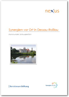 Cover Synergien vor Ort in Dessau-Roßlau