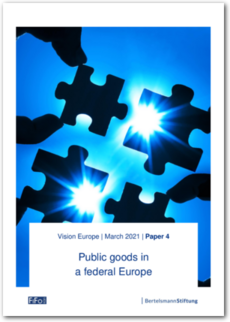 Cover Public goods in a federal Europe