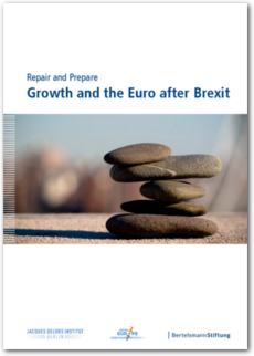 Cover Repair and Prepare: Growth and the Euro after Brexit