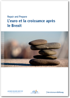 Cover Repair and Prepare: L’euro et la croissance après le Brexit