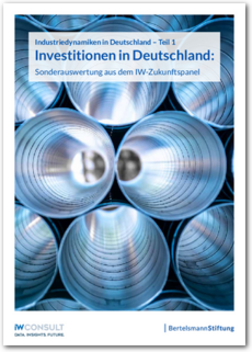 Cover Investitionen in Deutschland: Sonderauswertung aus dem IW-Zukunftspanel