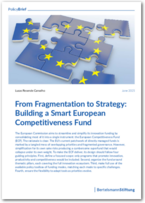 Cover From Fragmentation to Strategy: Building a Smart European Competitiveness Fund