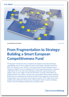 Cover From Fragmentation to Strategy: Building a Smart European Competitiveness Fund