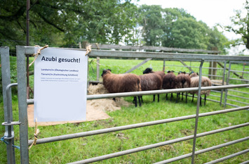 Ausschreibung für Ausbildung