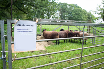 Ausschreibung für Ausbildung