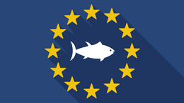 Illustration of a long shadow EU flag with a tuna fish