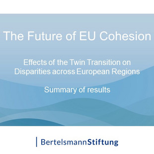 The Future of EU Cohesion: Effects of the Twin Transition on Disparities across European Regions. Summary of Results