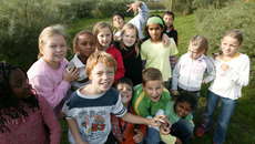 8F7T0781_Grundschule_Norbertschule_2006.jpg(© © Veit Mette)