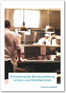 Cover Entwicklung der Berufsausbildung in Klein- und Mittelbetrieben