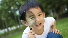 shutterstock_83294755_XL.jpg(© Tom Wang / Shutterstock Images)