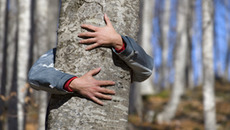 Foto: (c) Seraficus /iStockphoto