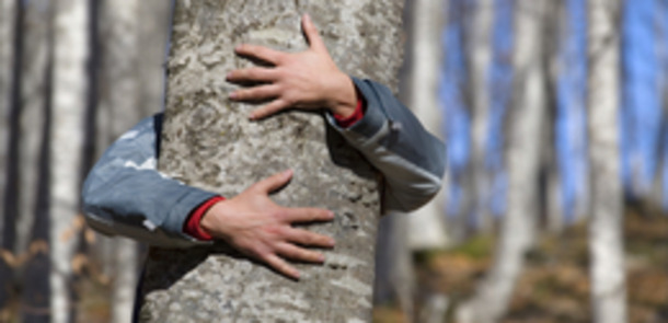 Foto: (c) Seraficus /iStockphoto