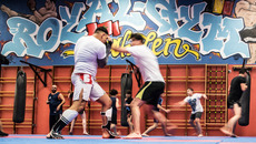 mechelen_2018_achim_multhaupt_7164_ST-CC.jpg(© Achim Multhaupt)